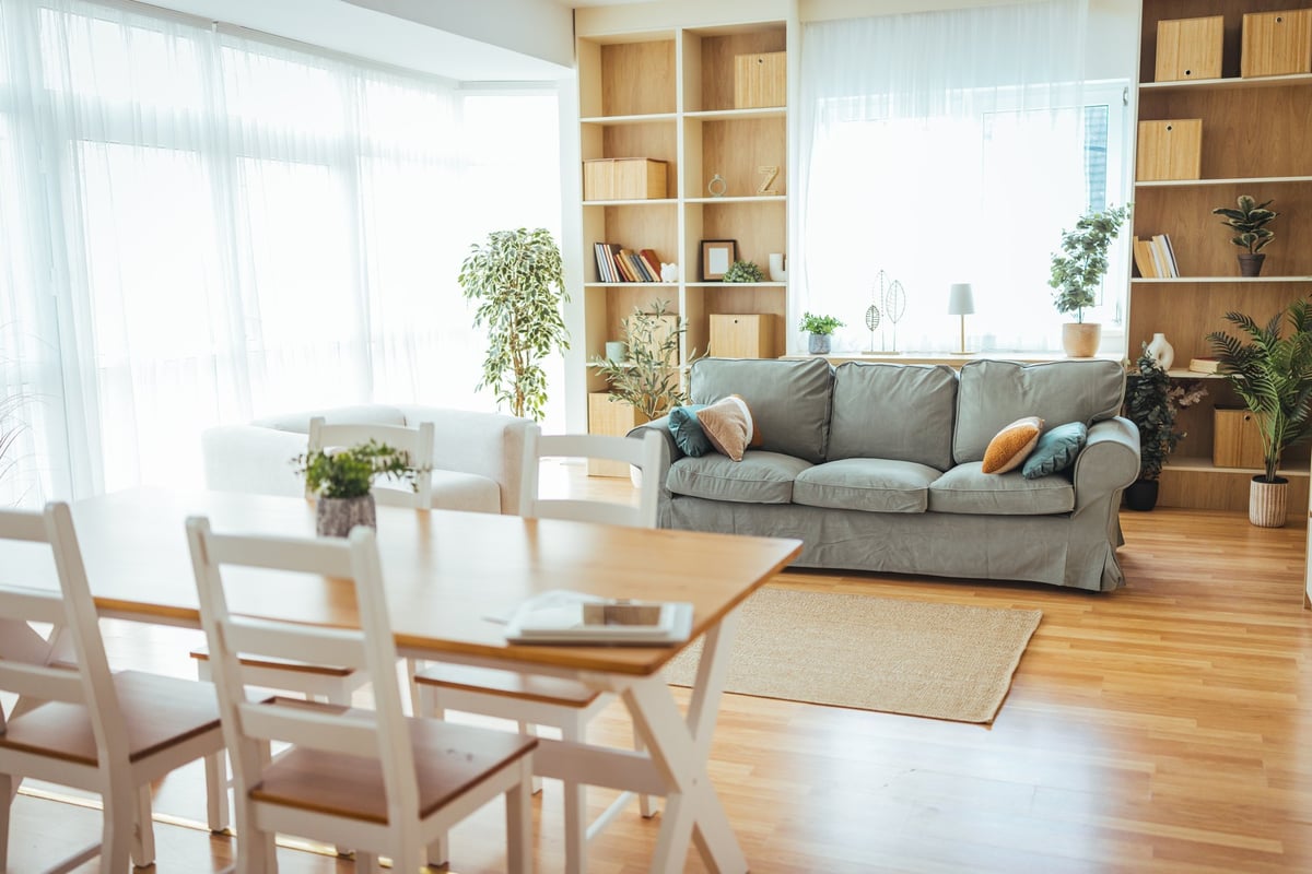 Sunlit open-plan living and dining area with modern furniture, built-in shelving and indoor plants in a cozy renovated home